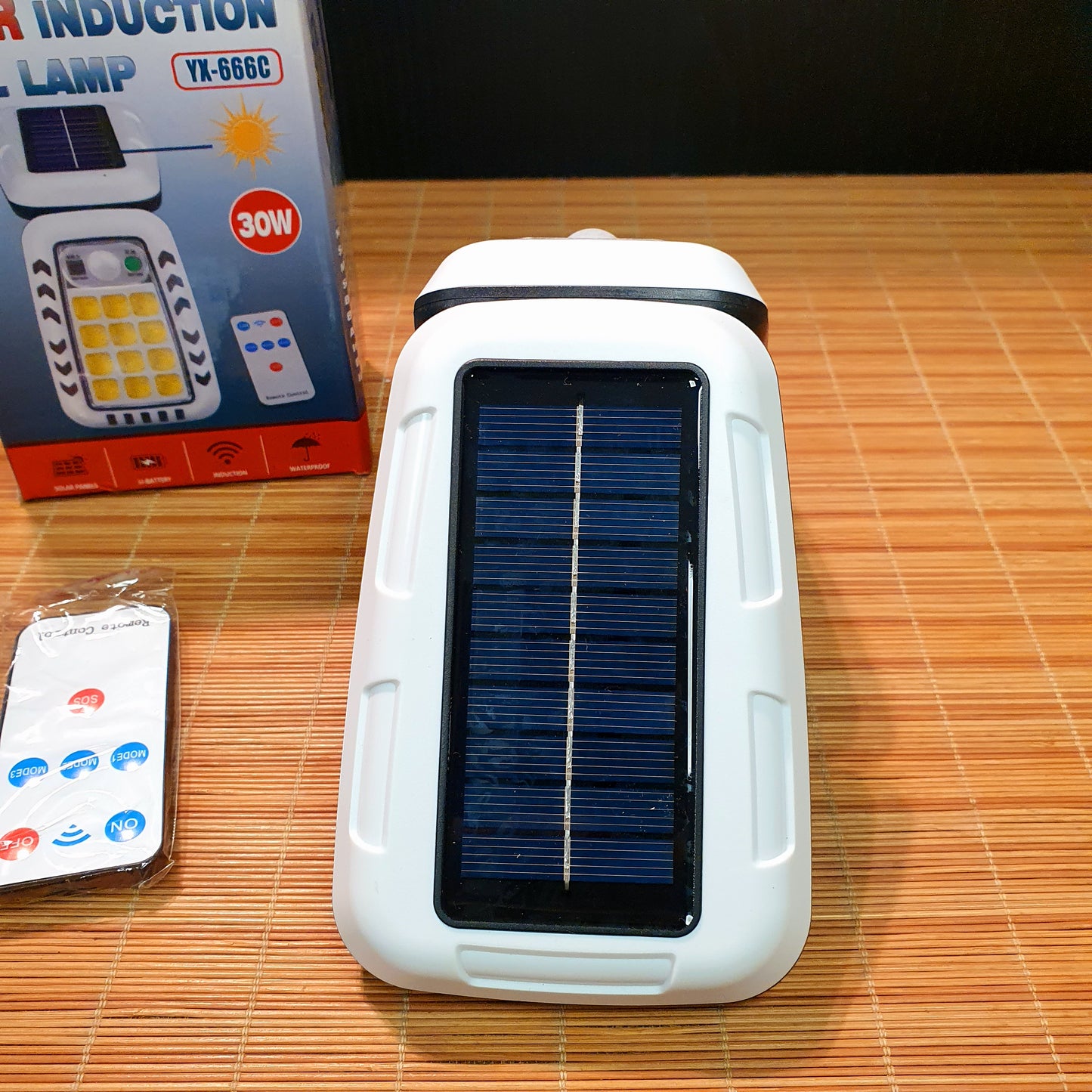 Solar Induction Wall Lamp 0214