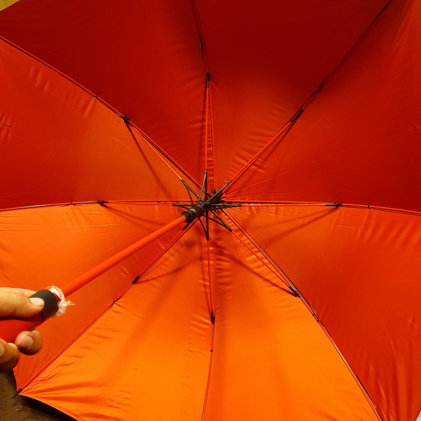 Multicolor Umbrella red Blue yellow 413001