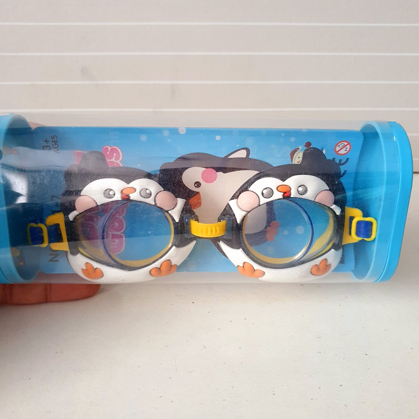 Swimming Glasses 41300