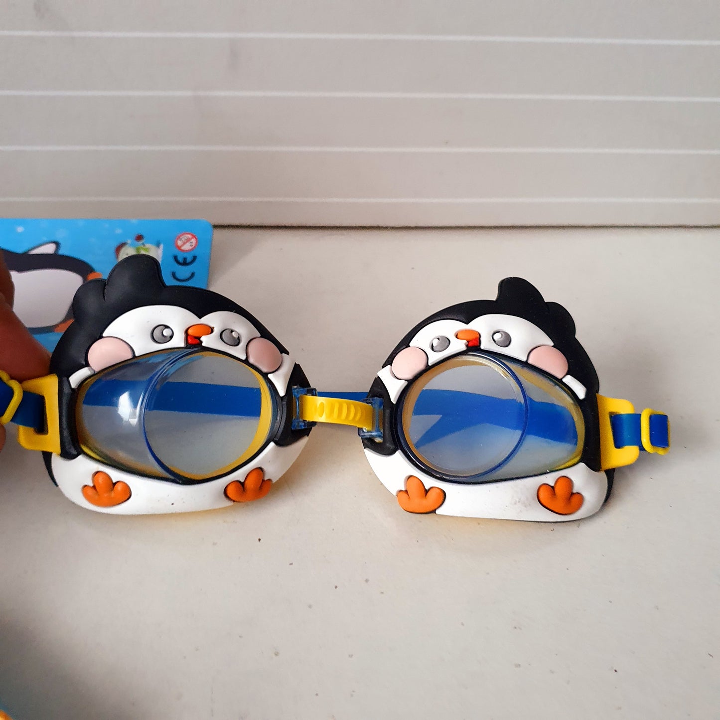 Swimming Glasses 41300