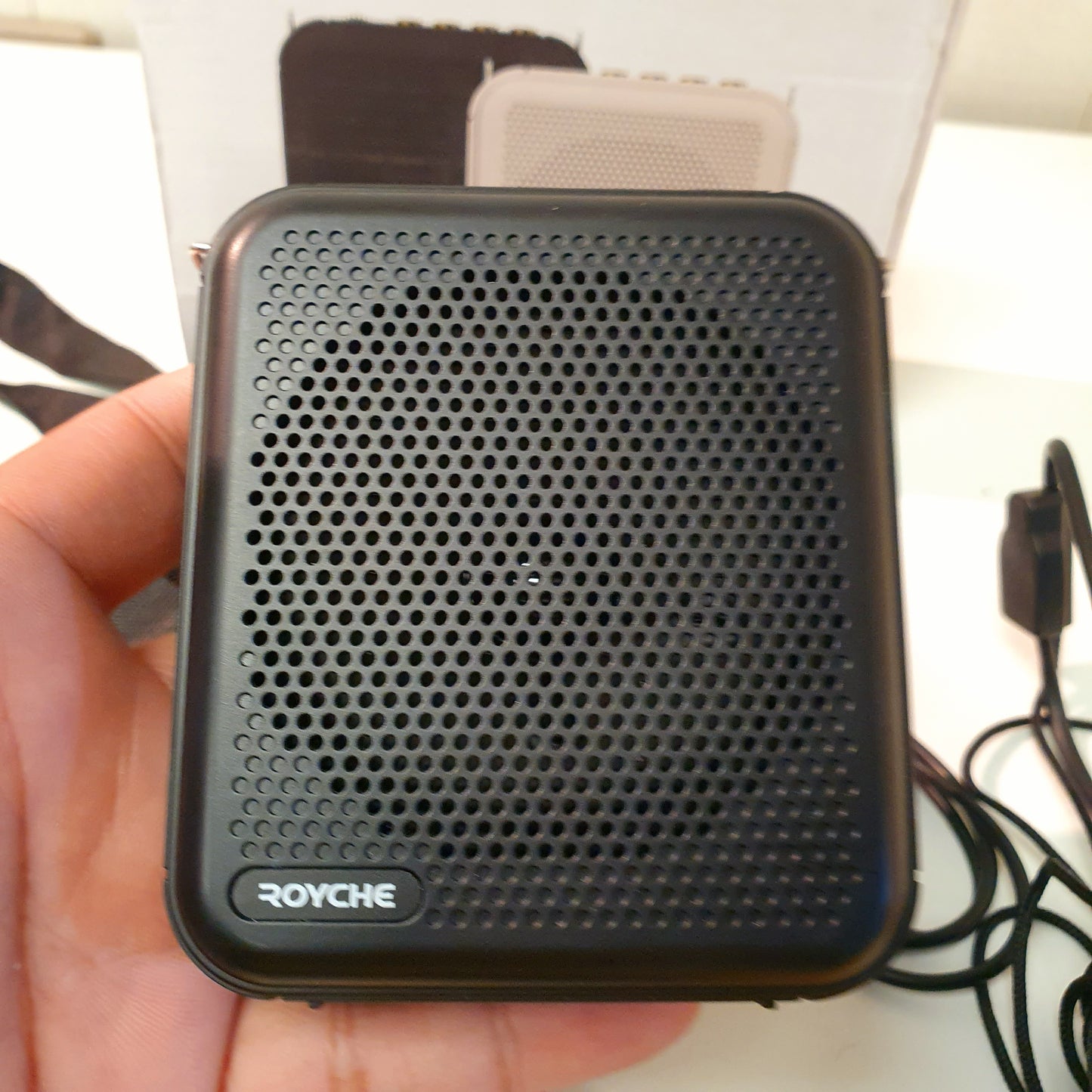 Royche Bluetooth Amp Speaker with Mic, 13650
