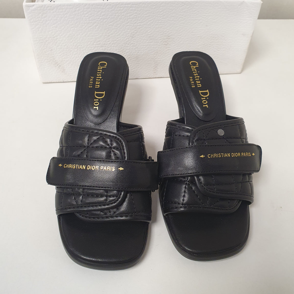 Christian Dior Paris Ladies Chappal Long Heel 9146