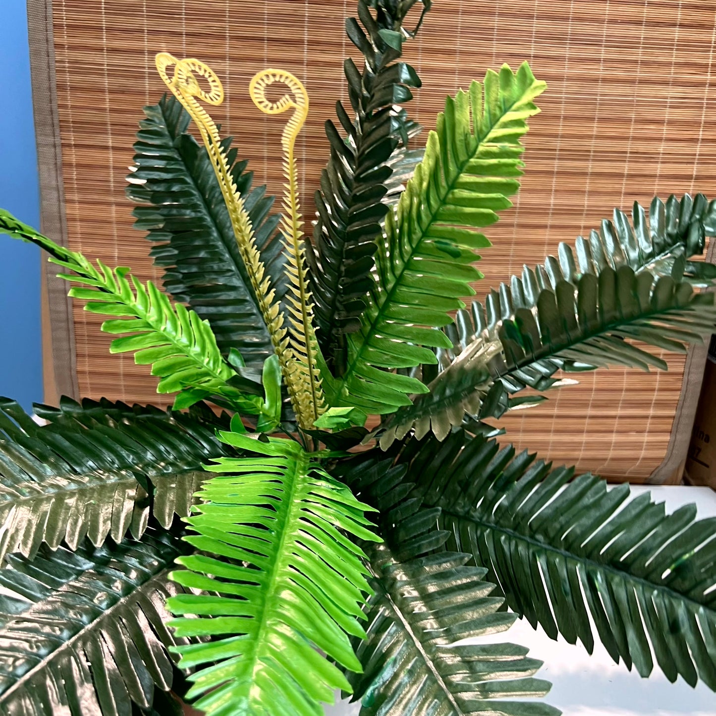 Artificial Leaves