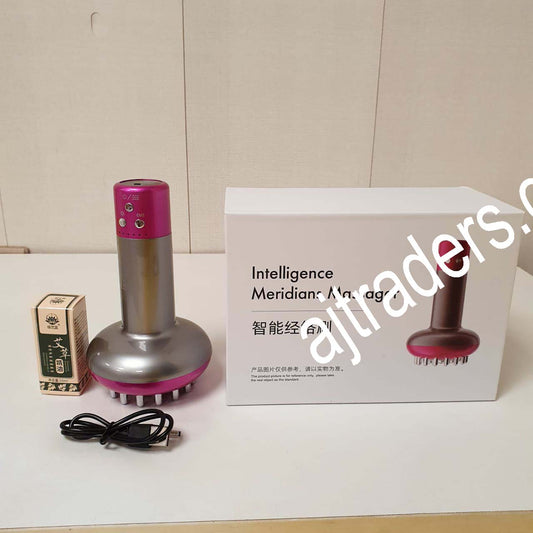 Intelligence Meridians Body Massager, 241850