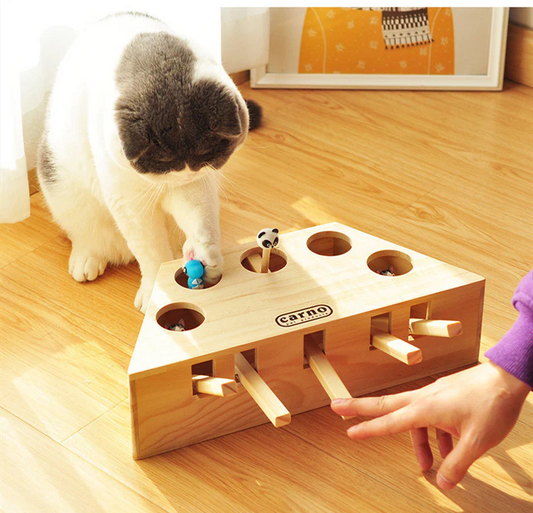 Pets Play Game Wooden