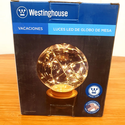 Led Globe Light