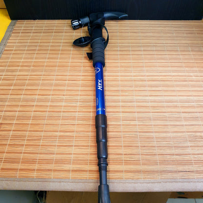 Hiking Stick