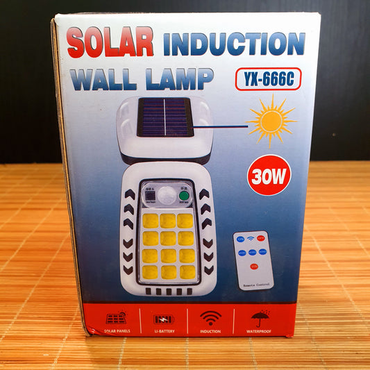 Solar Induction Wall Lamp 30 W 5479