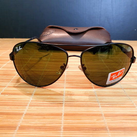 Ray ban Glasses with Pouch 5636