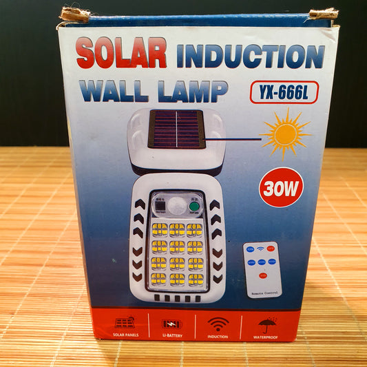 Solar Induction Wall Lamp 0214