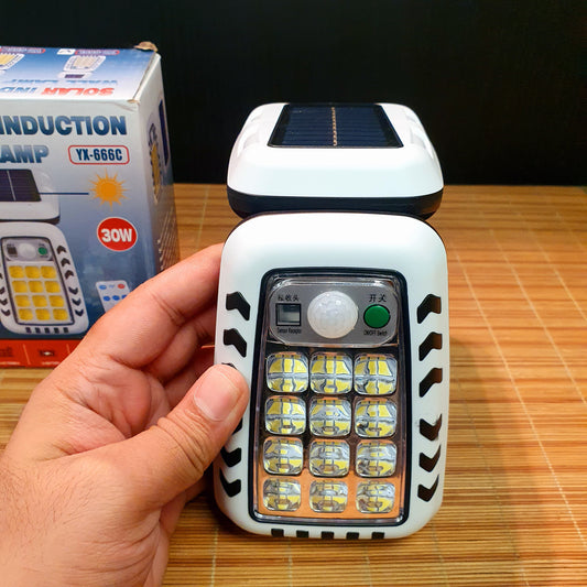 Solar Induction Wall Lamp 0214