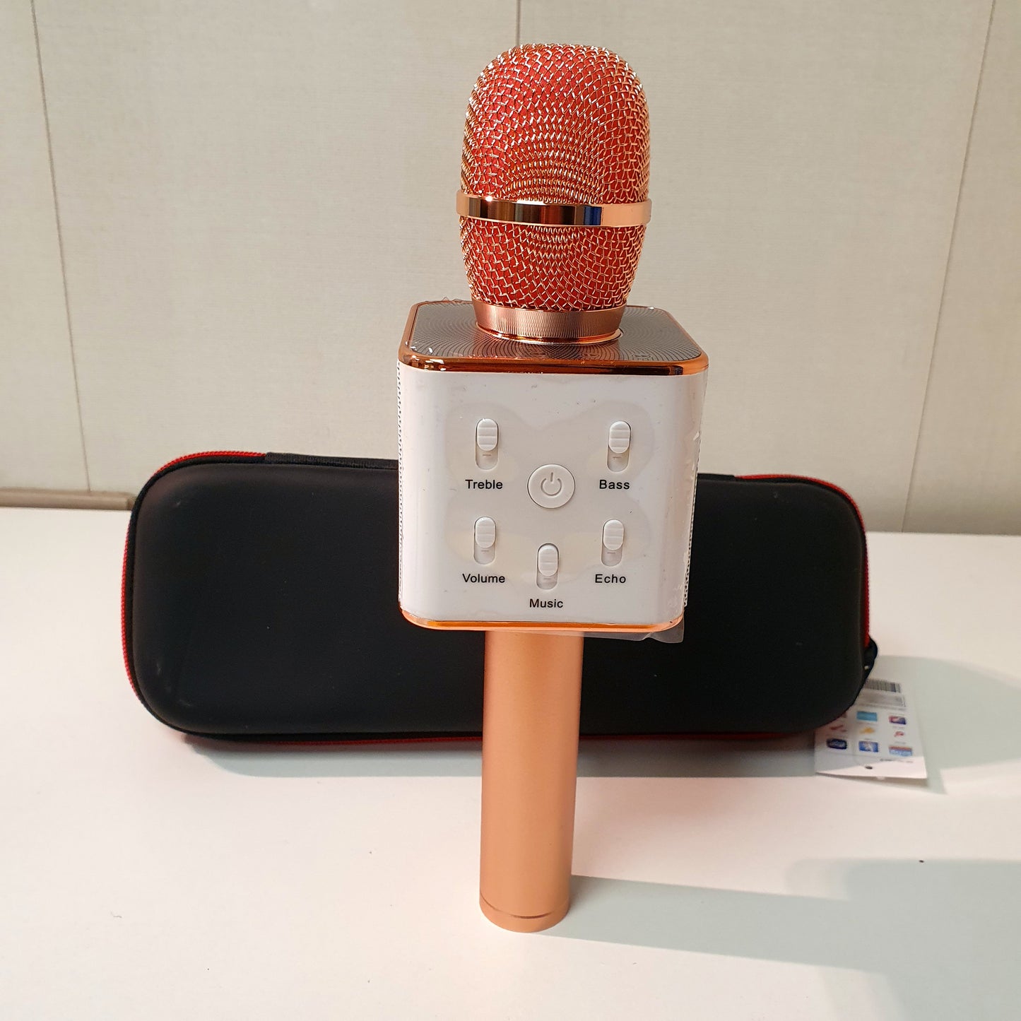 Royche Karoke Mic with Speaker and bag, 42650
