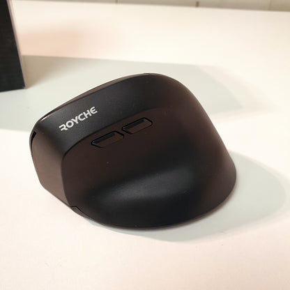Royche Rx-680V Designer Bluetooth Mouse, 12150