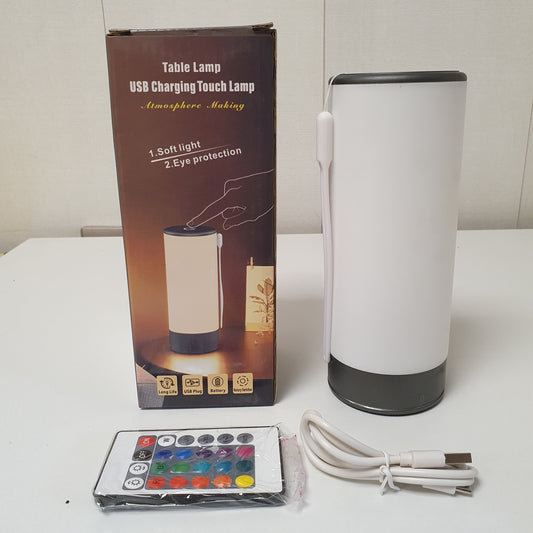 USB Charging Torch Lamp 22600