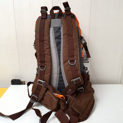 School College Orange Gray and Other, 12500