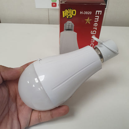 Emergency Blub Light AC/DC, 15750