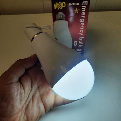 Emergency Blub Light AC/DC, 15750