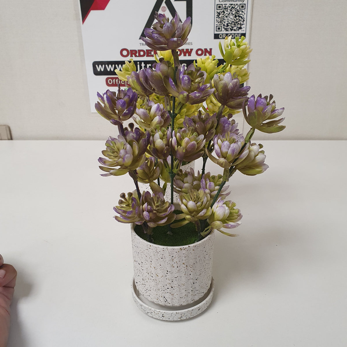 Plant Pot White , 16450