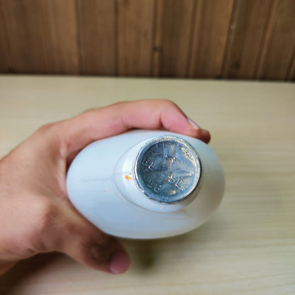 LQLQ Mild Foam Refrigerator Cleaner & Deodorizer Spray
