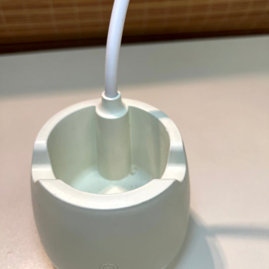 Desk Lamp with Pen Holder Rechargeable