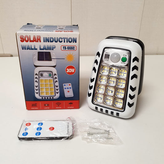Solar Induction Wall Lamp, 22200