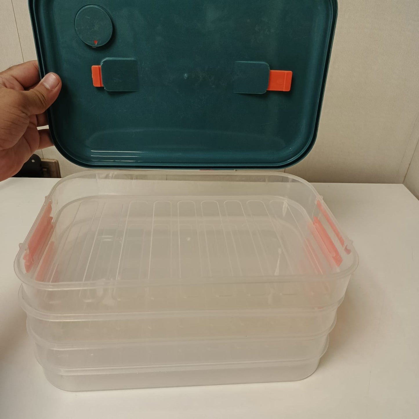 4 Steps Food Storage Quick Freezing Rack, 32830