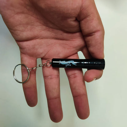 Mini Portable LED Flashlight