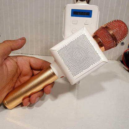 High branded Bluetooth Mic And Speaker