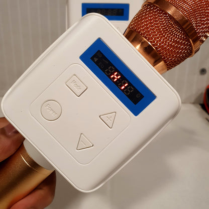 High branded Bluetooth Mic And Speaker