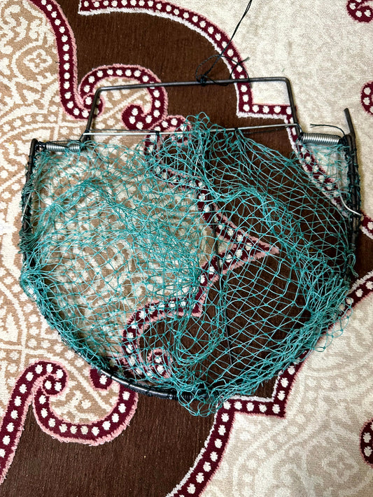Birds Catching Net